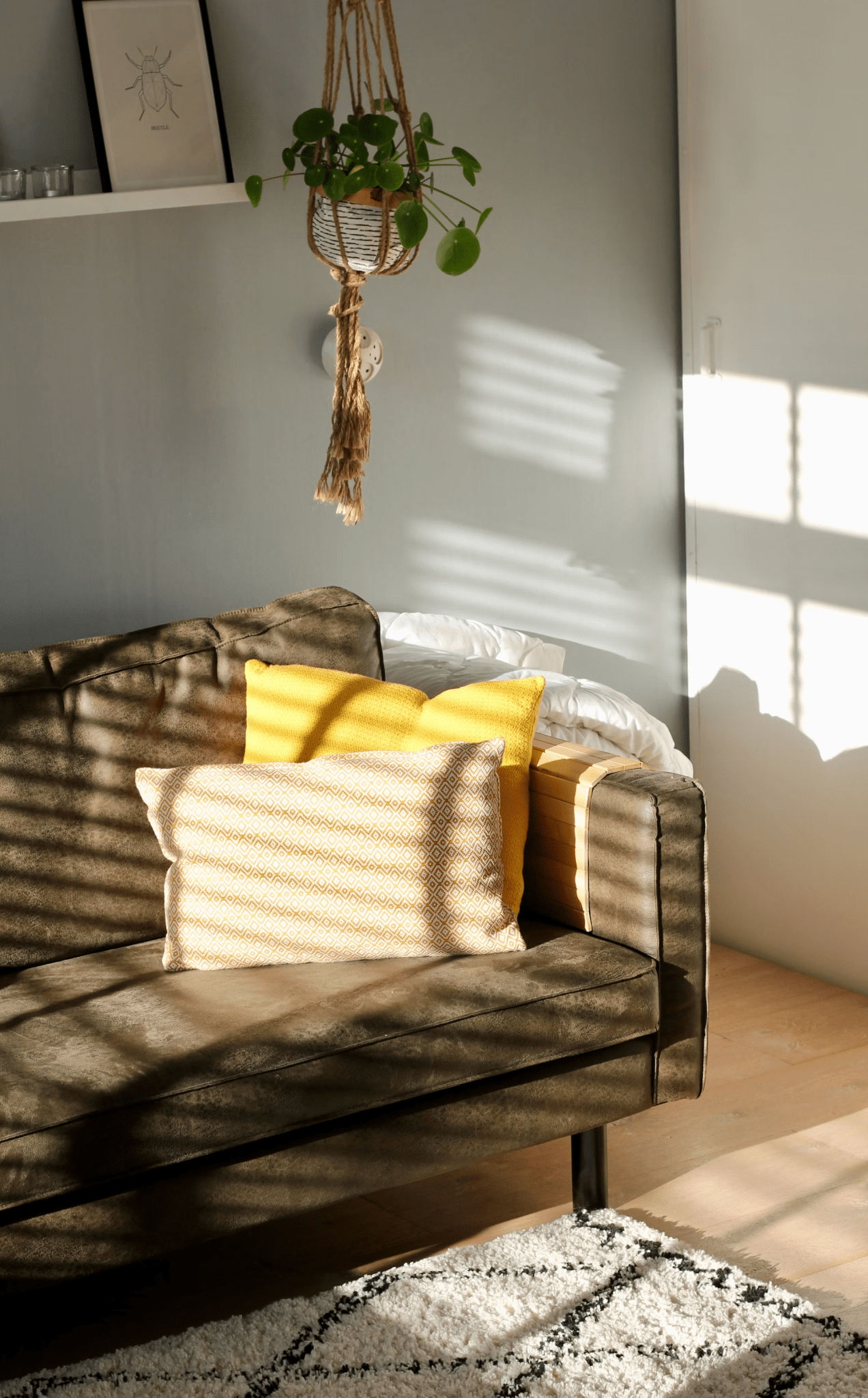 Brighten Your Home, Brighten Your Well-being: The Eco-Friendly Approach to Lighting - EZVALO