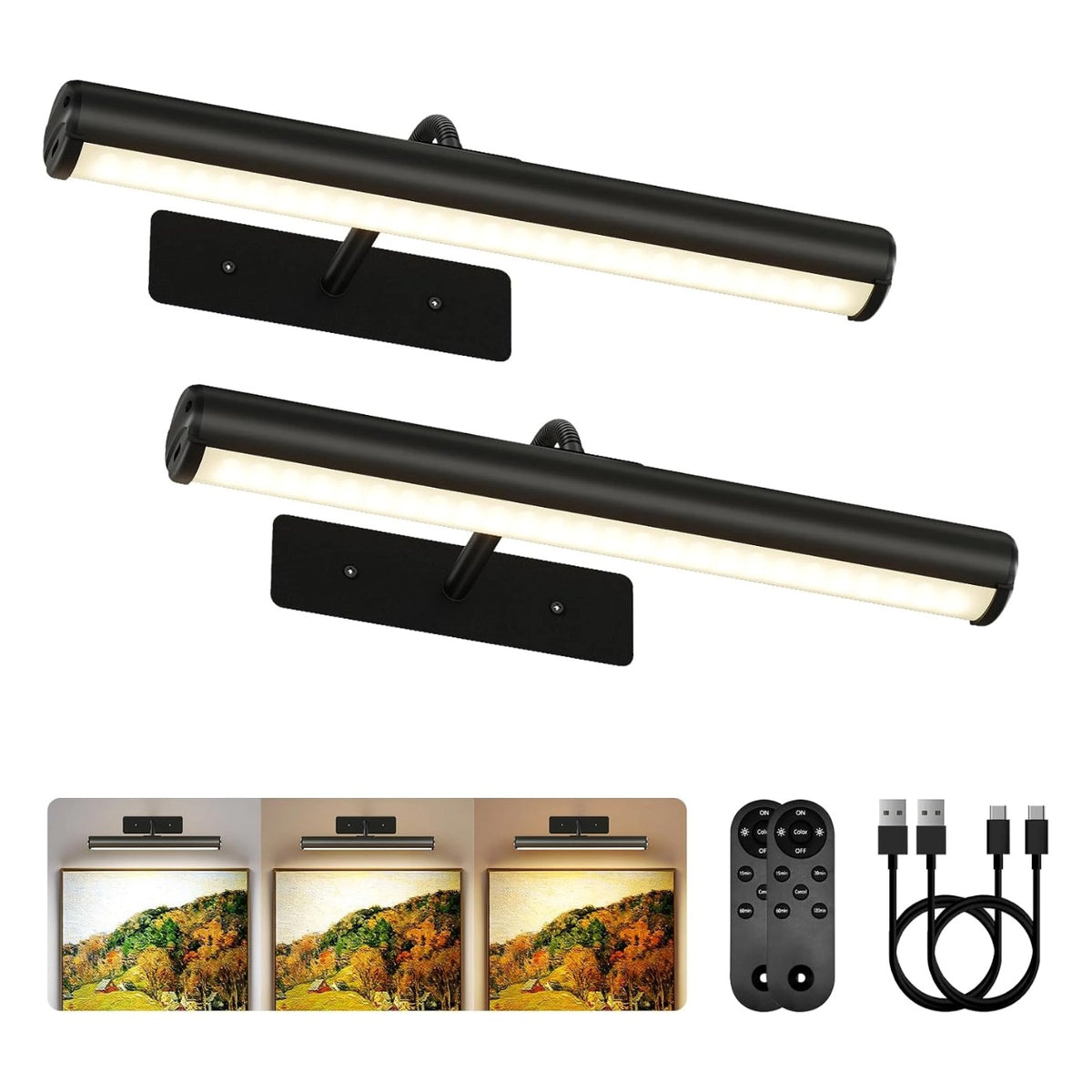 EZVALO EZPL02  Picture Lights