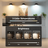 EZVALO EZL31 LED Wall Mounted Lights - EZVALO