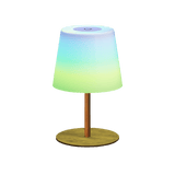 EZVALO EZL34 RGB Shower Lamp - EZVALO