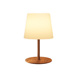 EZVALO EZL34 Cordless Table Lamp