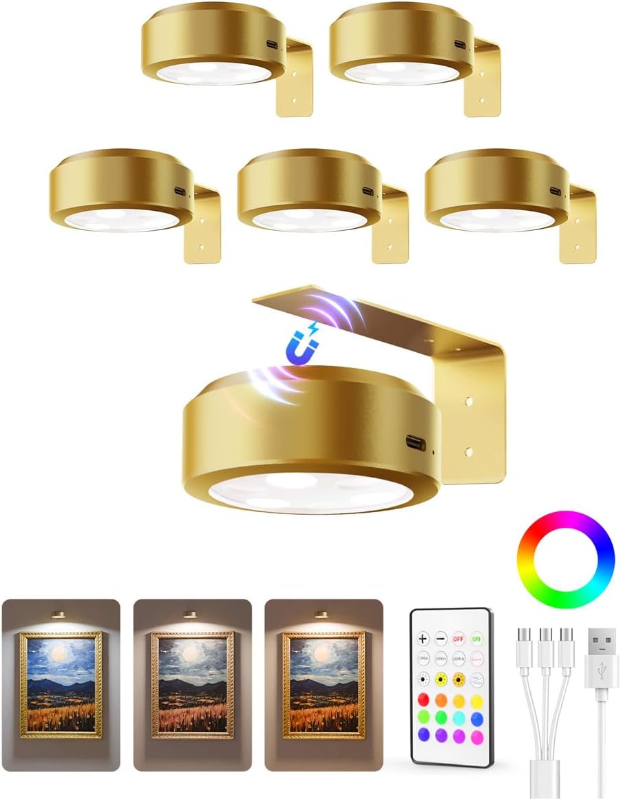 EZVALO Picture Lights for Wall, 2000mAh Rechargeable Battery Magnetic Poster Lights with 3 Color Temps & 12 RGB, Remote Dimmable Timer Painting Light, Wall Decor Light for Art Display, Frame (6 Pack) - EZVALO